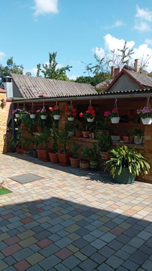 Guest House Zhanna Berehove  Ngoại thất bức ảnh